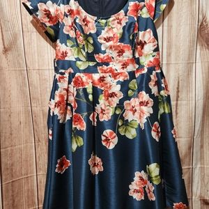 Wayward fancies size 16 dress